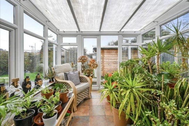 20, Freshwater Avenue, Hastings photo 4