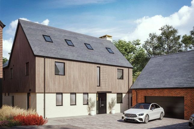 Plot 8 CGI