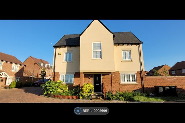 Thumbnail Detached house to rent in Bream Close, Biddenham, Bedford