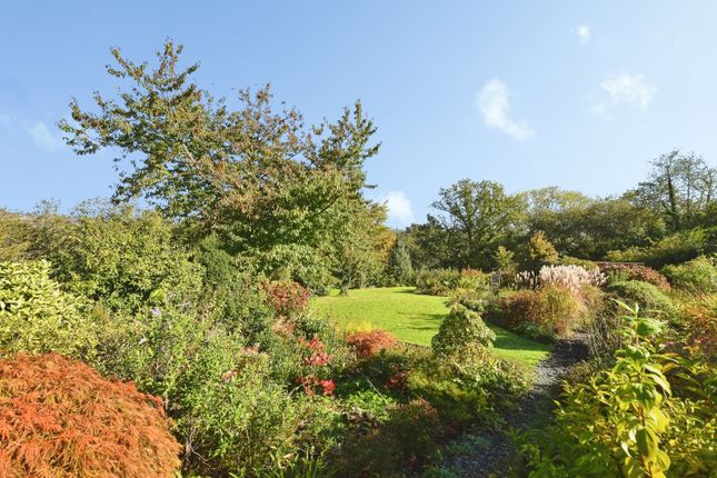 Mynyddbach, Swansea photo 2