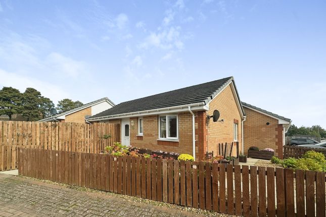Thumbnail Terraced bungalow for sale in Ivy Gardens, Paisley