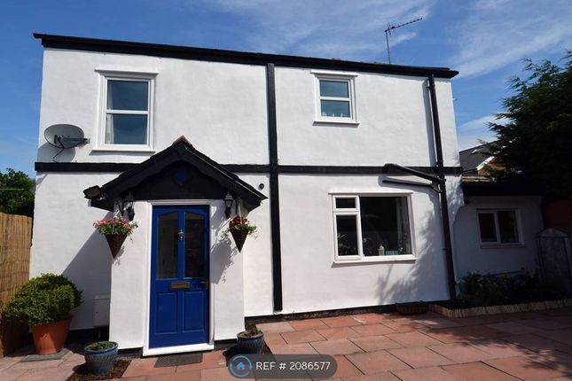 Detached house to rent in Manning Road, Southport