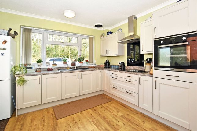 The Gables, Llandrindod Wells photo 3
