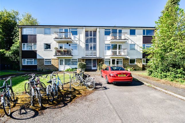 Thumbnail Flat to rent in Lingholme Close, Cambridge