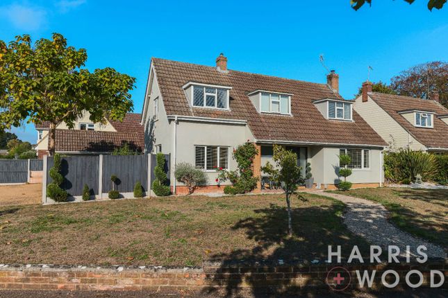 67 Endsleigh Court, Colchester, Essex photo 4