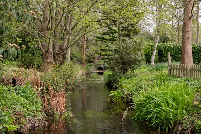 Grounds