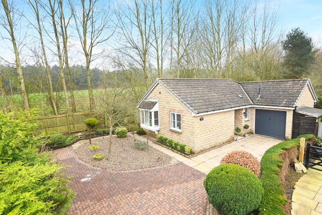 Thumbnail Detached bungalow for sale in Barberry Close, Harrogate