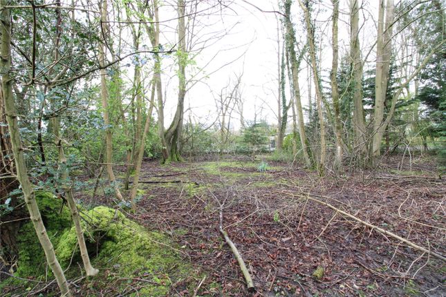Land for sale in Land At Trafalgar House, Old Park Road, Swarland, Northumberland
