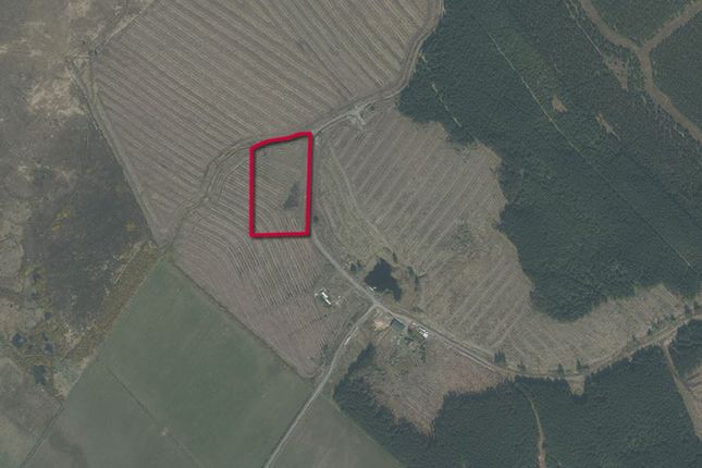 Thumbnail Land for sale in Plot B At North Quintfall Forest, Lyth, Caithness KW14Ud