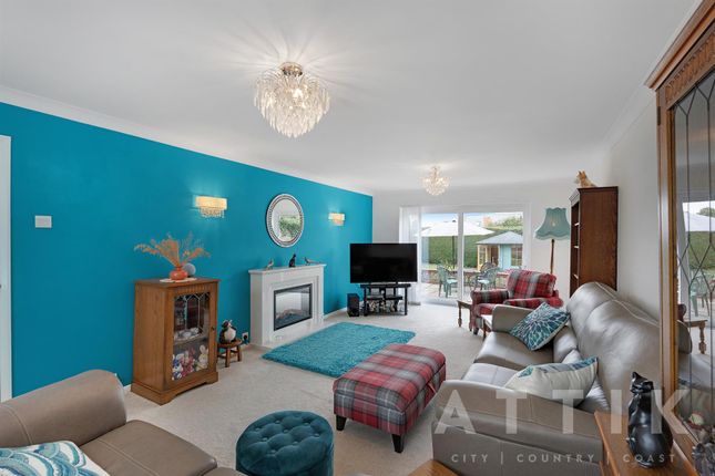 Wicklewood Cattery, 24, High Street, Wymondham photo 2
