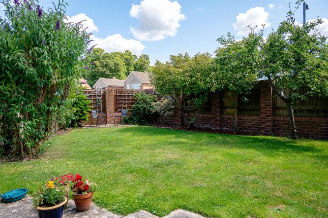 Side Garden