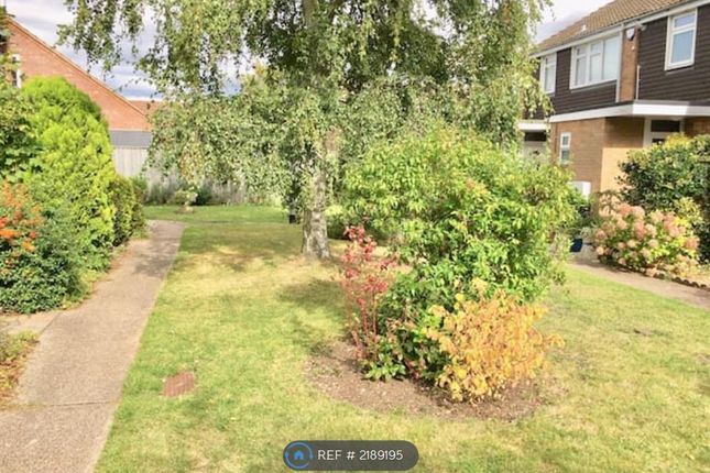 Thumbnail Flat to rent in Birch Close, Cambridge