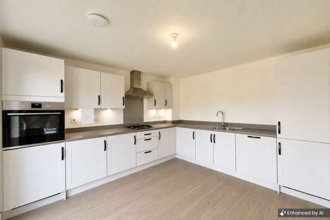 521 Chicory End, Stafford photo 4