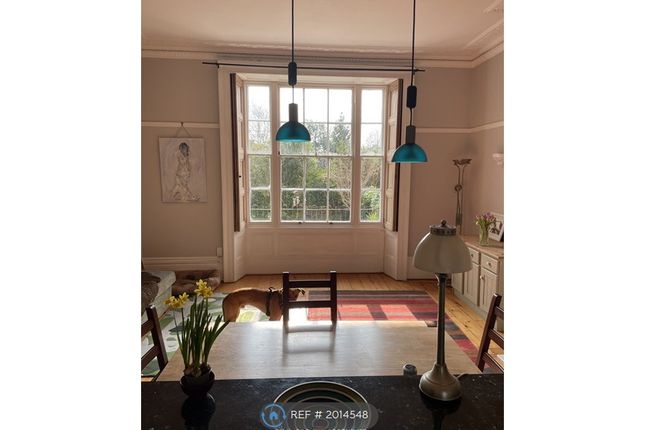 Thumbnail Room to rent in Oakfield Road, Clifton, Bristol
