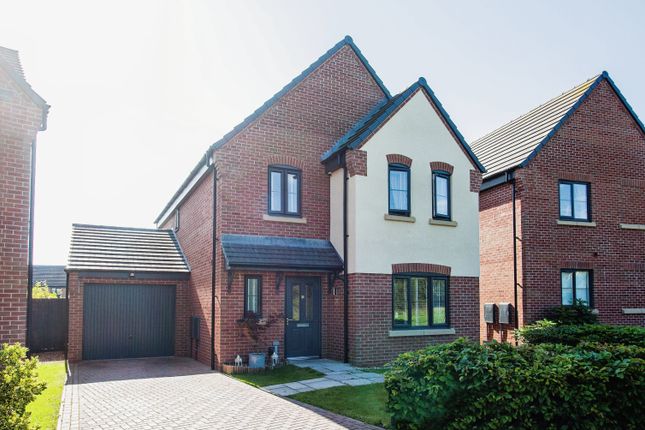 Thumbnail Detached house for sale in Barbican Grove, Stafford