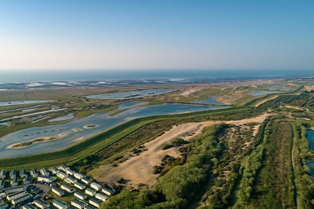 Rye Harbour Coastal and Country Park, Rye photo 5