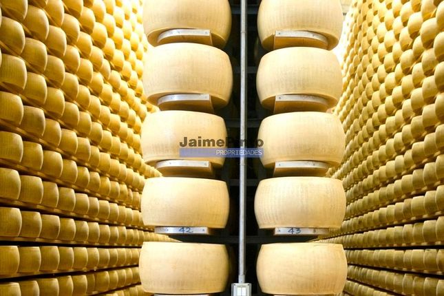 Industrial for sale in Industry, Cheese Factory, Majority Stake, Portugal