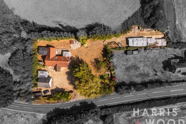 Ray View, The Strood, Colchester photo 4