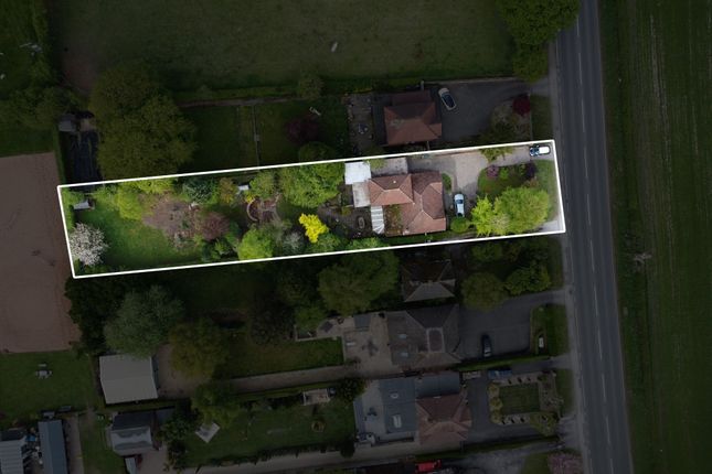 Drone Of Plot