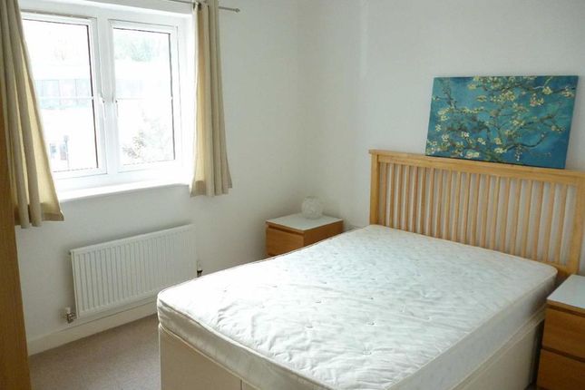 52, Rumney photo 4