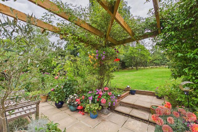 The Briars, Beales Lane, Northiam photo 4