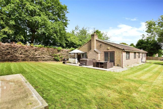 Bungalow for sale in Scragged Oak Road, Detling, Maidstone, Kent