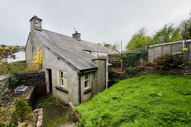 Rose Terrace, Tregaron photo 2