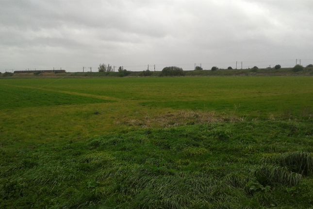 Land for sale in Great Drove, Yaxley, Peterborough