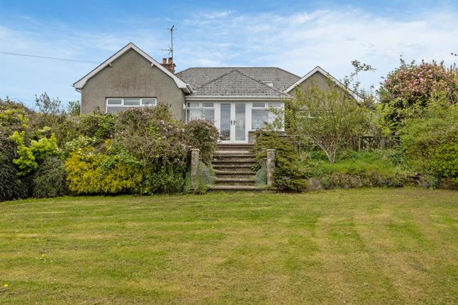 66, Dunmore Road, Ballynahinch photo 4