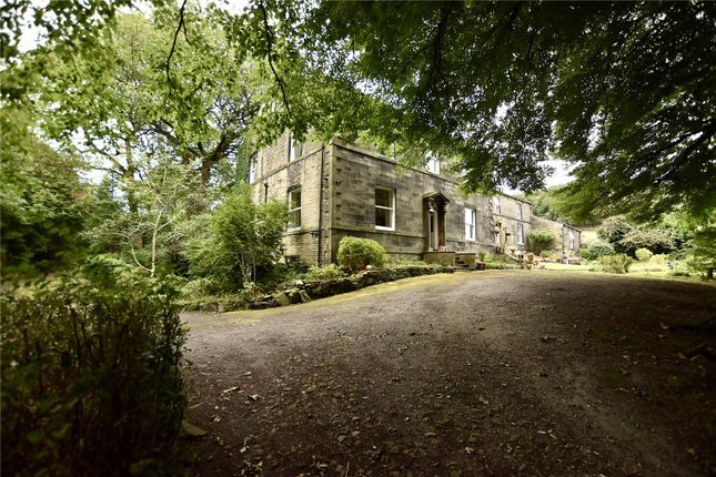 Front External