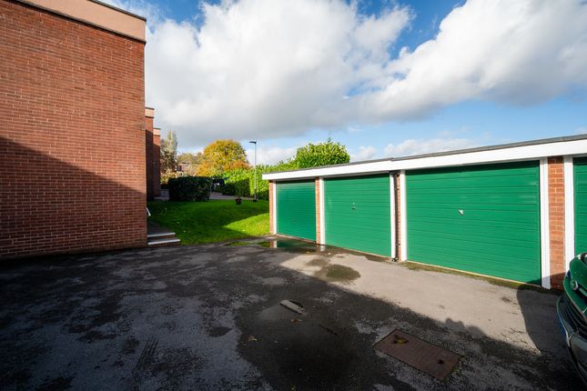 Tullibardine Road, Sheffield photo 4
