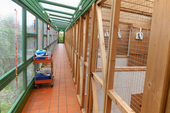 Commercial Property For Sale In Kennels Cattery Equestrian