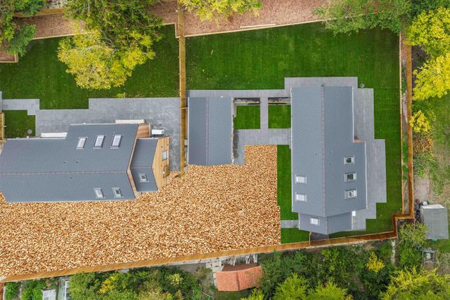 Drone (1)-Edited.Jpg