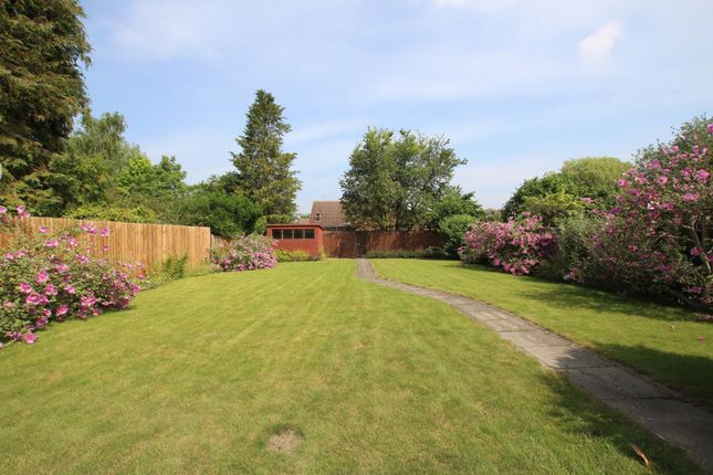 47, Queen Ediths Way, Cambridge photo 4