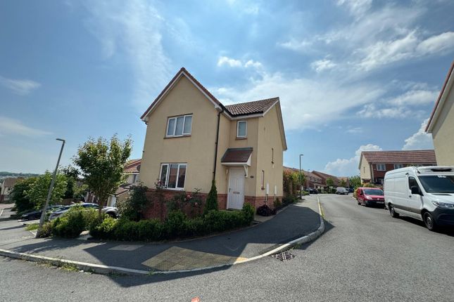 Thumbnail Property to rent in Alfriston Road, Paignton, Devon