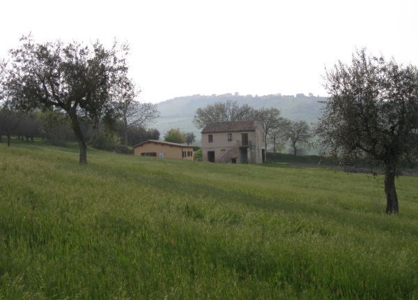 Detached house for sale in Bellante, Teramo, Abruzzo