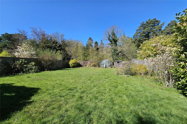 Pride Cottage,, Tilford Road, Farnham photo 2