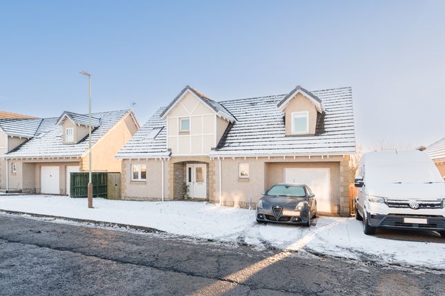 Thumbnail Detached house for sale in Parkview Gardens, Arbroath