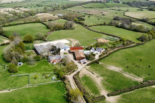 Thumbnail Equestrian property for sale in North Lane, Guestling, Hastings