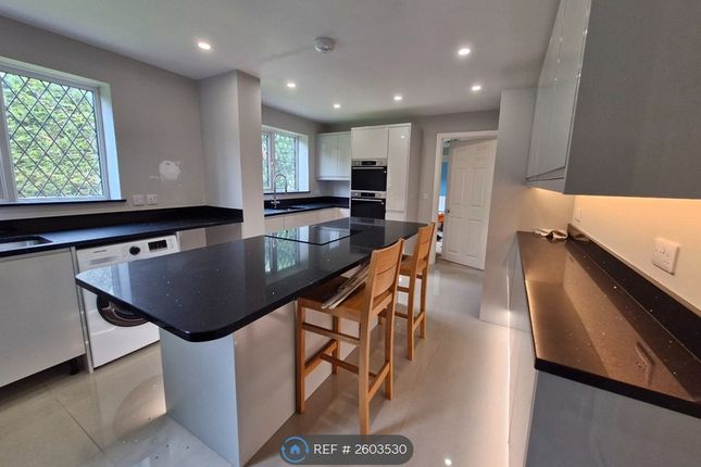 New Kitchen