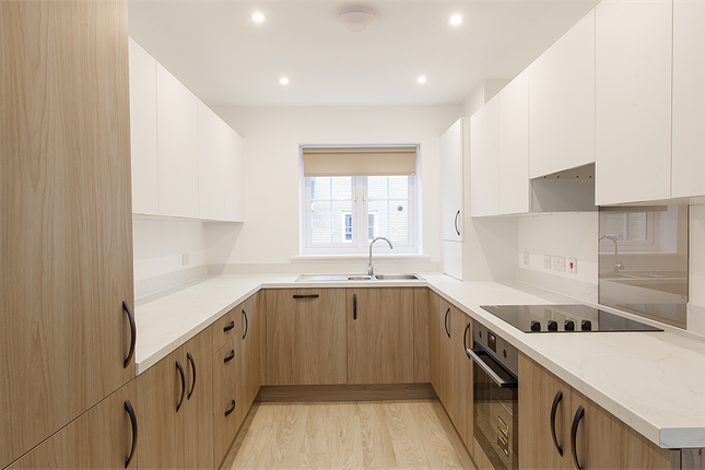 29 elina road- Elderflower  RL, Leaf Living at Chesterwell, Mile End, CO4, Mile End photo 4