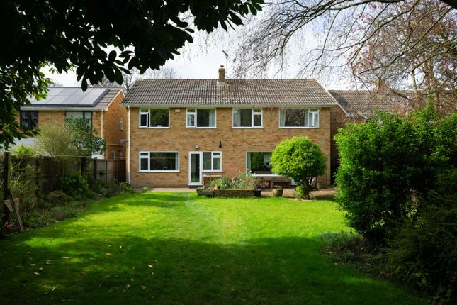 Thumbnail Detached house for sale in Nackington Road, Canterbury