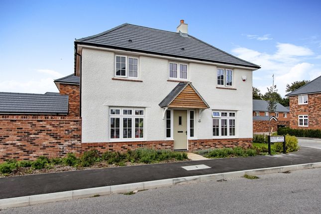 Thumbnail Detached house for sale in Hilltop Grove, Shaftesbury