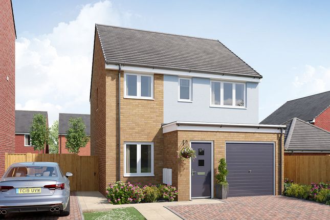 Thumbnail Detached house for sale in "The Piccadilly" at Green Lane West, Rackheath, Norwich
