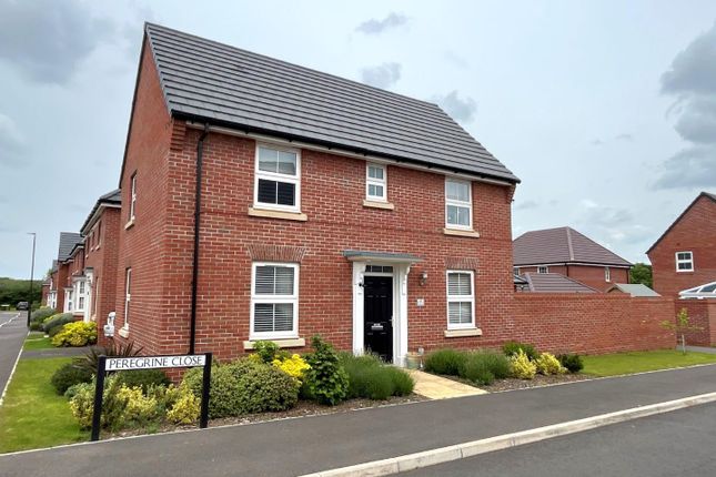 Thumbnail Detached house to rent in Peregrine Close, Newent