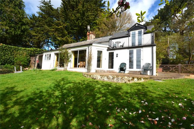 Detached house for sale in Newgrounds, Godshill, Fordingbridge, Hampshire SP6