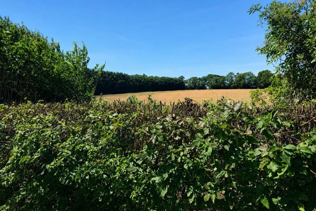 Carlton Meres Holiday Park, Saxmundham photo 4