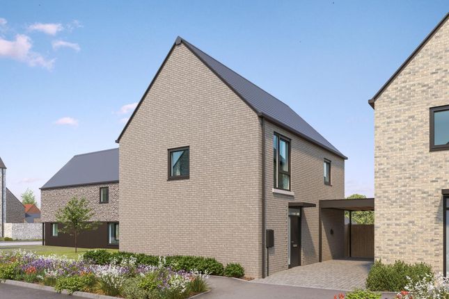 The Boxwood, Number 547