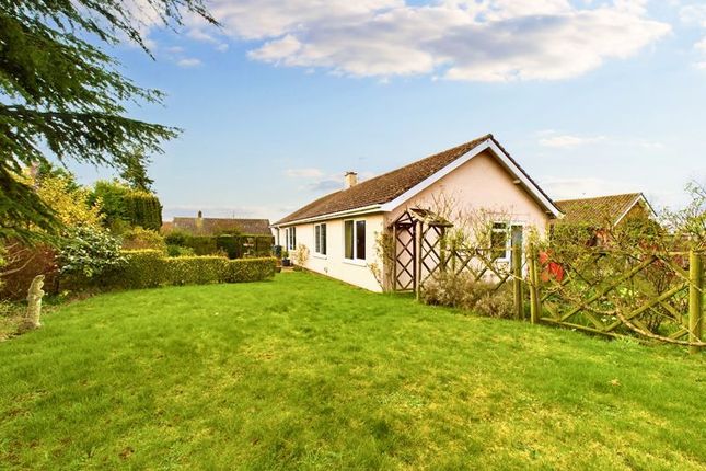 Thumbnail Bungalow for sale in Church Close, Hepworth, Diss