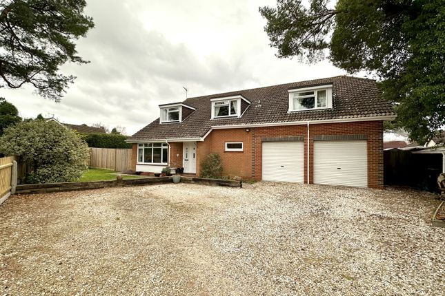 Thumbnail Detached house to rent in 24 Lions Lane, Ashley Heath, Ringwood